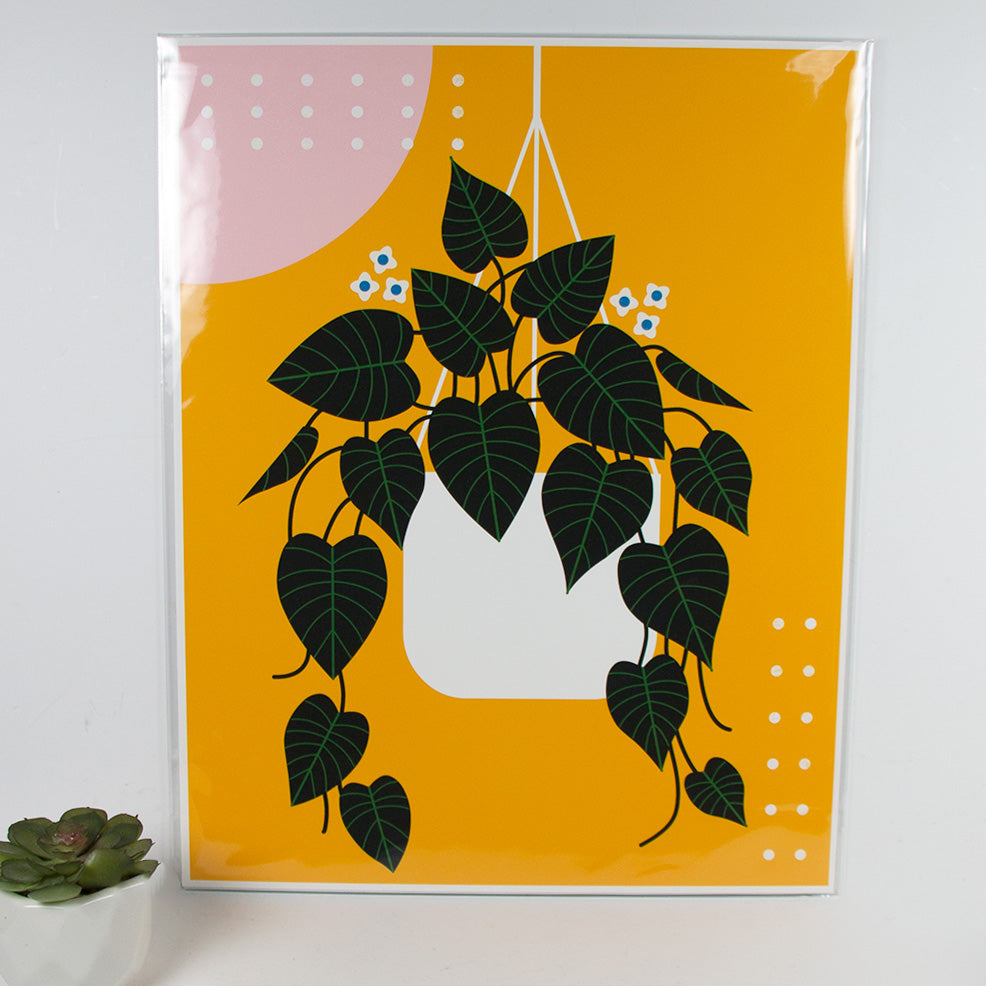 pothos trailing ideas Trailing Pothos